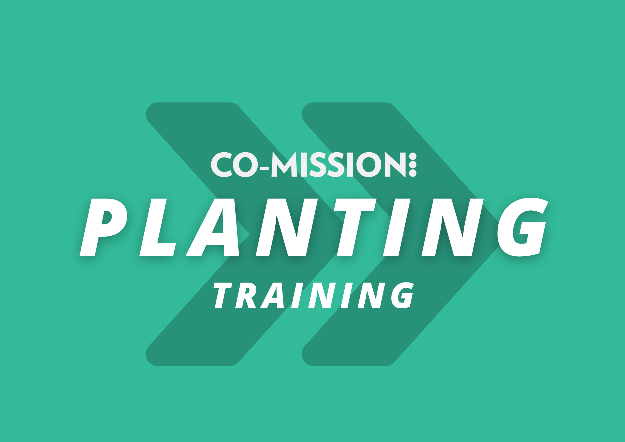Read more about the article Co-Mission CPT Term 3